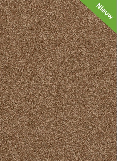 Xtreme SDN 65 Xtreme SDN 65